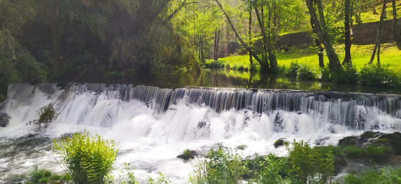 Casa Do Gaio-Turismo De Natureza Arouca Ngoại thất bức ảnh