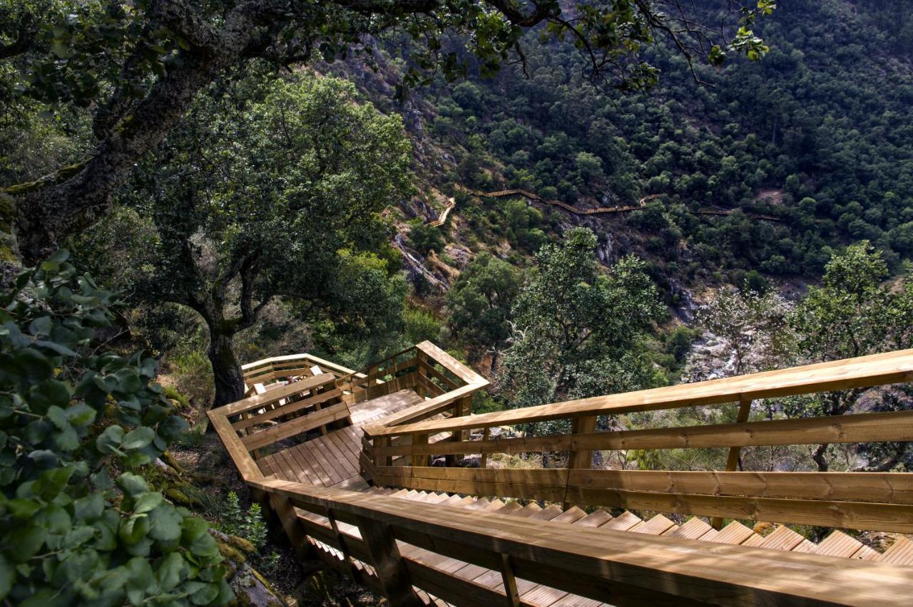 Casa Do Gaio-Turismo De Natureza Arouca Ngoại thất bức ảnh