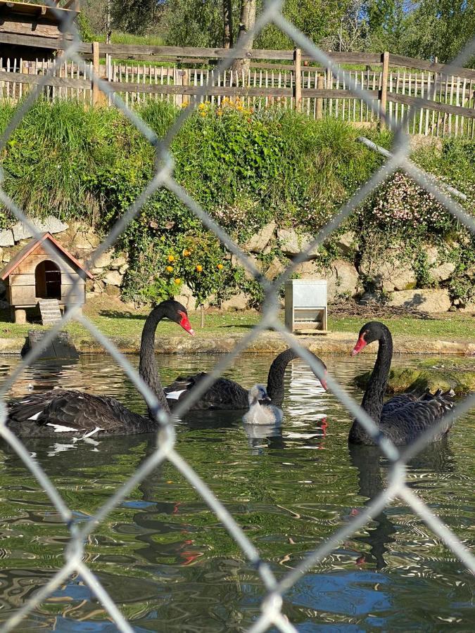 Casa Do Gaio-Turismo De Natureza Arouca Ngoại thất bức ảnh